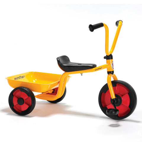NEW! Duo Tricycle with Tray