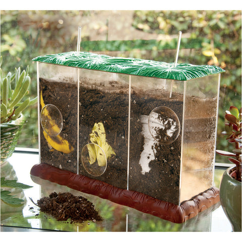 See-through Compost Container