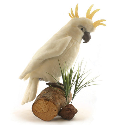 NEW! Animal Character - White Cockatoo