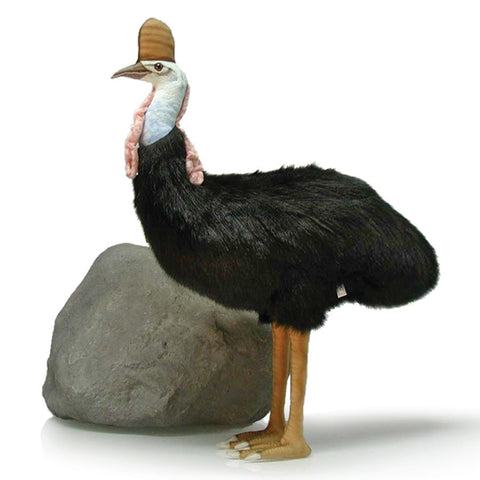 NEW! Large Display Animal - Cassowary