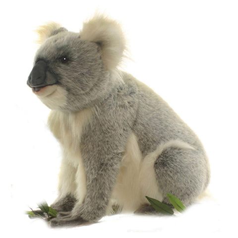 NEW! Animal Character - Koala