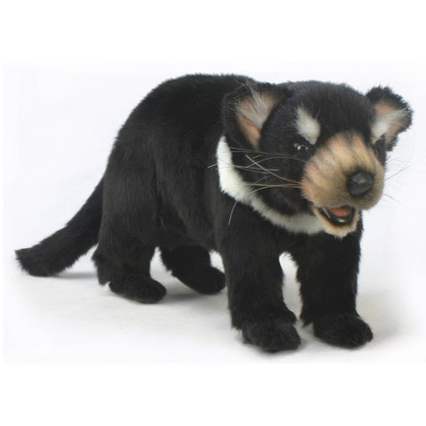 NEW! Animal Character - Tasmanian Devil
