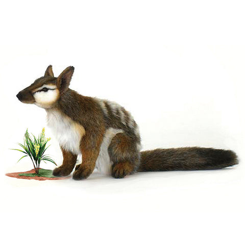 NEW! Animal Character - Numbat