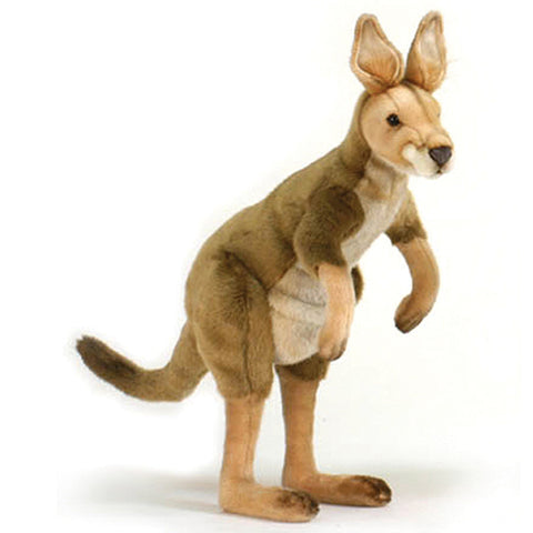 NEW! Animal Character - Kangaroo