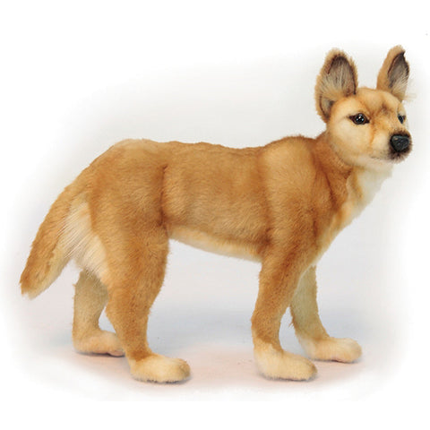 NEW! Animal Character - Dingo