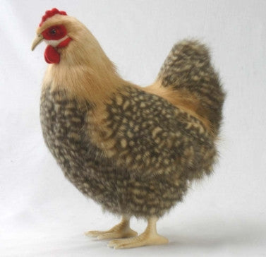 NEW! Animal Character - Hen Beige