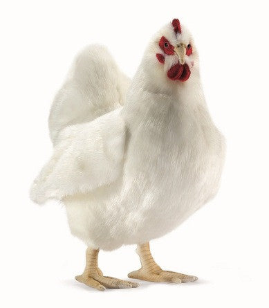NEW! Animal Character - Hen White