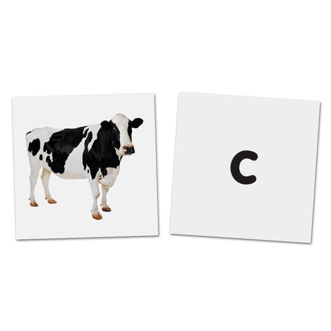 NEW! Double-Sided Magnetic Letters