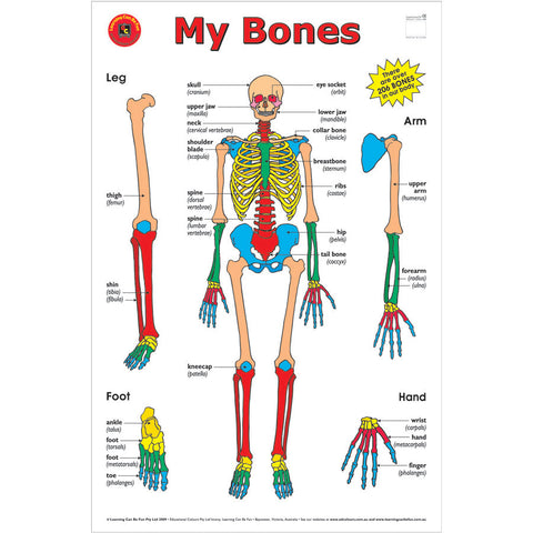 My Bones Poster