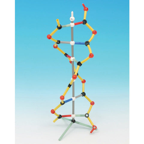 NEW! DNA Orbit Molecular Model
