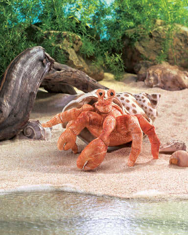 Hermit Crab Puppet