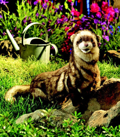 Ferret Puppet