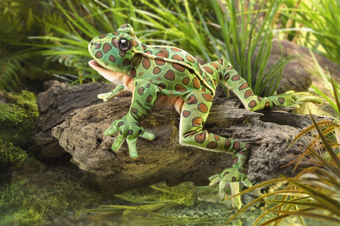 Leopard Frog Puppet