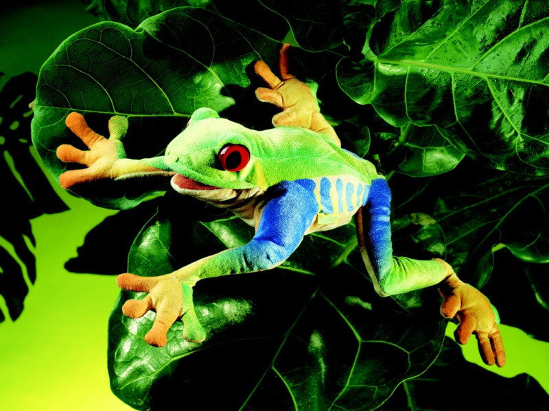 Red-Eyed Tree Frog Puppet