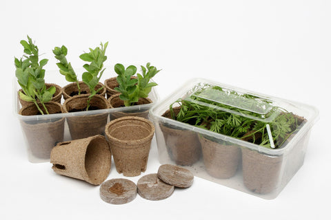 EnviroGrow Mini Greenhouse