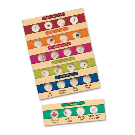 Prepared Slides - Set 1 *ON SALE*