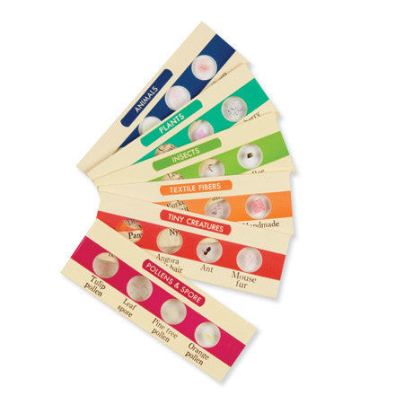 Prepared Slides - Set 2 *ON SALE*
