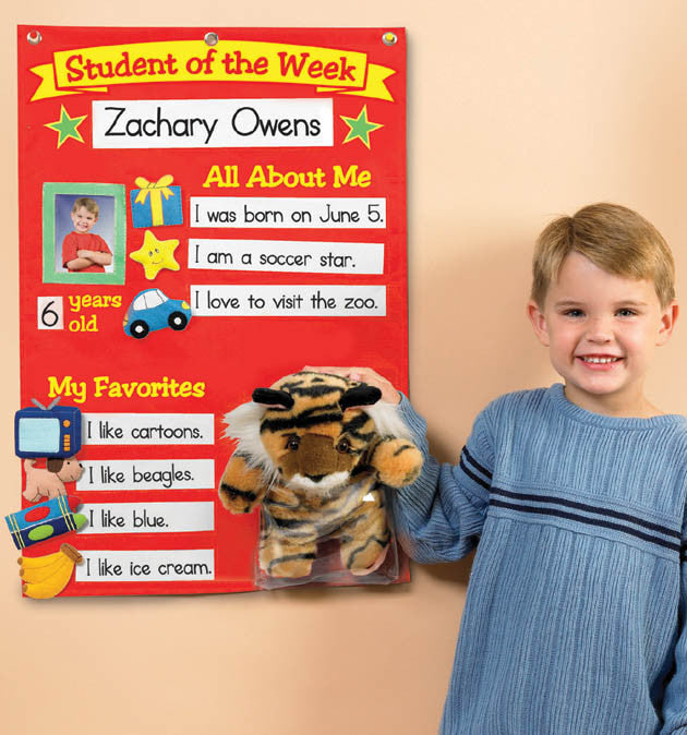 Student Of Week Super Pocket Chart *ON SALE*