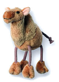 Camel - Finger