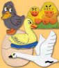 The Ugly Duckling  F/p