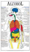 Poster - Alcohol