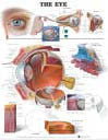 The Eye