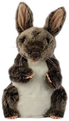 Rabbit - Euro Puppet