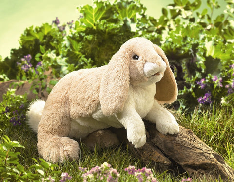 Floppy Bunny Rabbit