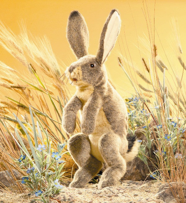 Jack Rabbit Puppet