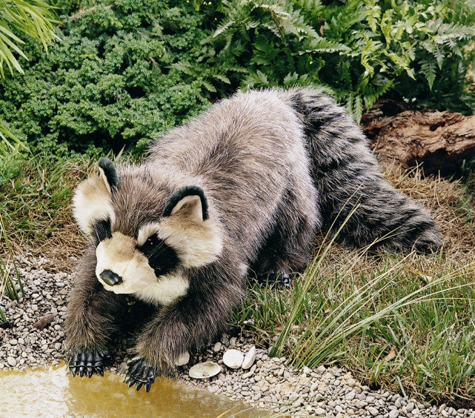Raccoon Puppet