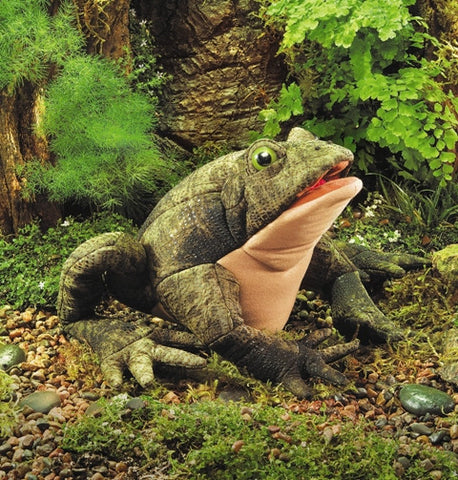 Toad Puppet