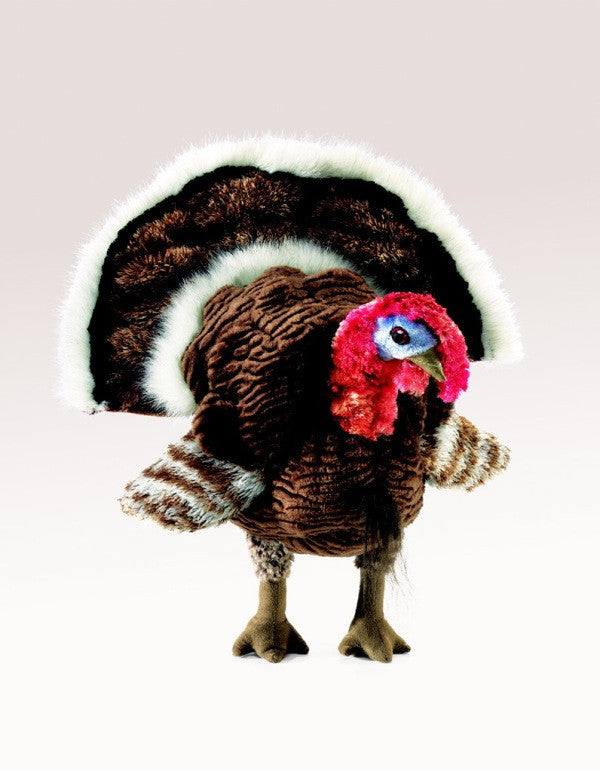 Small Turkey Puppet